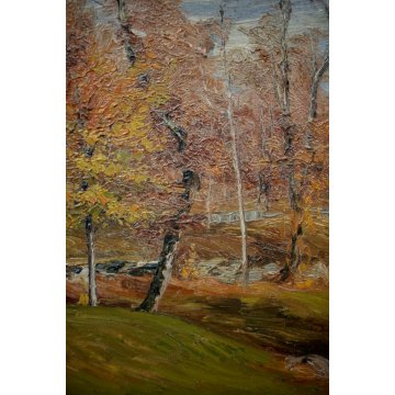 QUADRO OLIO TAVOLA C. Besana PAESAGGIO MONTANO AUTUNNO SELVA Malesco VAL VIGEZZO