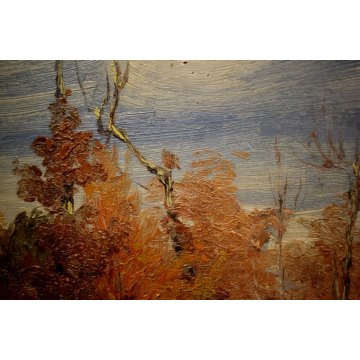QUADRO OLIO TAVOLA C. Besana PAESAGGIO MONTANO AUTUNNO SELVA Malesco VAL VIGEZZO