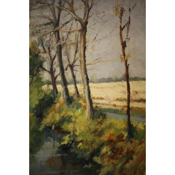 QUADRO DIPINTO OLIO TAVOLA Mario Pavesi PAESAGGIO CAMPAGNA CANALE NOVARA '900