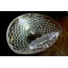 POSACENERE BOWL DESIGN C. Scarpa Barovier & Toso VETRO MURANO TRASPARENTE GLASS