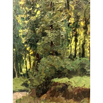 ANTICO DIPINTO OLIO TAVOLA Gigi Comolli  "Campagna di Barquedo" PAESAGGIO 