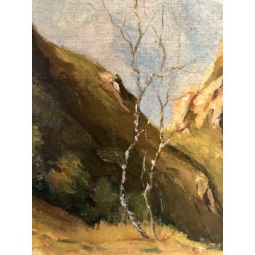 ANTICO QUADRO OLIO Vittorio Rosa VEDUTA MOTTARONE CUSIO LAGO MAGGIORE ORTA '54