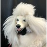 RARO Barbie cane barboncino PRINCE o PEPE 1984 vintage accessori DOG doll MATTEL