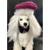 RARO Barbie cane barboncino PRINCE o PEPE 1984 vintage accessori DOG doll MATTEL