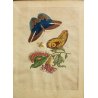 COPPIA ANTICHE LITOGRAFIE BOTANICHE COLORI FRANCESI 800 PAPAYA PIPER INDICUM  