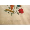 COPPIA ANTICHE LITOGRAFIE BOTANICHE COLORI FRANCESI 800 PAPAYA PIPER INDICUM  