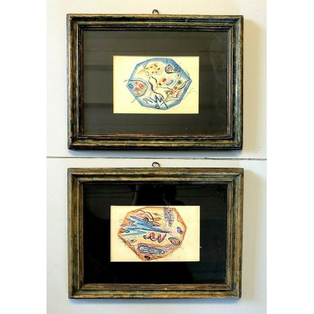 COPPIA QUADRO DISEGNO ACQUARELLO ASTRATTO STRUTTURA CELLULA FUTURISMO EPOCA '900