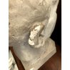 ANTICA SCULTURA Carlo Zapelloni GESSO RITRATTO TESTA Andrea Zapelloni STRESA 900