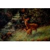 GRANDE QUADRO OLIO TELA BOSCO con CERBIATTI RUSCELLO SOTTOBOSCO CREPUSCOLO '900