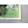 STAMPA CROMO-LITOGRAFICA VINTAGE FIRMATA A.Tuis RITRATTO UOMO CON BICCHIERE '900