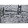 ANTICO DIPINTO CHINA Golden Gate Bridge EPOCA 1900 DISEGNO PONTE San Francisco