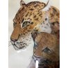 ACQUERELLO CARTONCINO DISEGNO SCHIZZO SKETCH RITRATTO LEOPARDO con CUCCIOLO '900