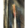 QUADRO GESSETTO CARTA Ferruccio Garopesani RITRATTO UOMO CON CAPPUCCIO DEDICA 57