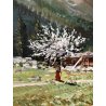 QUADRO DIPINTO OLIO D. Marianelli  Primavera Dolomiti BAITE PAESAGGIO MONTANO 