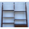 LIBRERIA TERRA CIELO FRANCO ALBINI LB7 POGGI SCAFFALE DESIGN LEGNO TEAK ANNI 50
