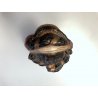 ANTICO BUSTO FEMMINILE TERRACOTTA Signa RITRATTO NOBILE DAMA RINASCIMENTALE