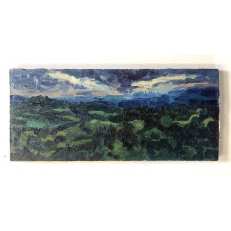 DIPINTO OLIO TELA Carlo Monti PAESAGGIO VEDUTA ARONA LAGO MAGGIORE BLU VERDE 900