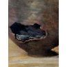 ANTICO DIPINTO OLIO TELA NATURA MORTA VASI TERRACOTTA REPERTI PIETRA LANCE '900