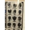ANTICHE FOTOGRAFIE DISEGNI ACCONCIATURE ETNICHE FEMMINILI AFRO HAIR FASHION '900
