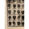 ANTICHE FOTOGRAFIE DISEGNI ACCONCIATURE ETNICHE FEMMINILI AFRO HAIR FASHION '900