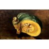 PICCOLO QUADRO OLIO CARTONE ATTR. Nino Belotti NATURA MORTA AUTUNNO ZUCCA '900