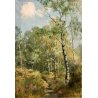 QUADRO DIPINTO OLIO TELA A. Corradi PAESAGGIO RADURA BOSCO BETULLE SENTIERO '60
