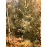 QUADRO DIPINTO OLIO TELA A. Corradi PAESAGGIO RADURA BOSCO BETULLE SENTIERO '60