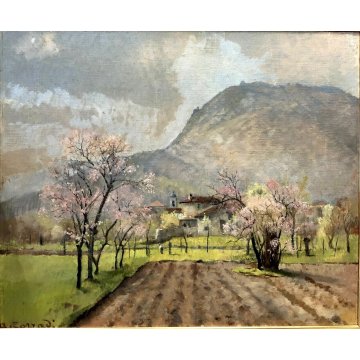QUADRO DIPINTO OLIO TAVOLA Alfonso Corradi "Primavera a Feriolo" PAESAGGIO VALLE