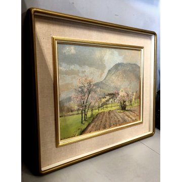QUADRO DIPINTO OLIO TAVOLA Alfonso Corradi "Primavera a Feriolo" PAESAGGIO VALLE