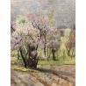QUADRO DIPINTO OLIO TAVOLA Alfonso Corradi "Primavera a Feriolo" PAESAGGIO VALLE