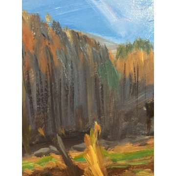 QUADRO DIPINTO OLIO TAVOLA Carlo Coppo Tramonto a Pecetto PAESAGGIO MONTANO '900