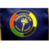 GAGLIARDETTO PANATHLON CLUB MOTTARONE VINTAGE SKI SPORT NEVE MONTAGNA FLAG 