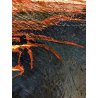 QUADRO DIPINTO OLIO ASTRATTO Enrico Villani PAESAGGIO MARINA NOTTURNO BARCHE '70