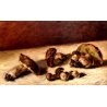 QUADRO OLIO Nino Belotti NATURA MORTA COMPOSIZIONE RACCOLTO FUNGHI PORCINI  '900