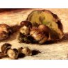 QUADRO OLIO Nino Belotti NATURA MORTA COMPOSIZIONE RACCOLTO FUNGHI PORCINI  '900