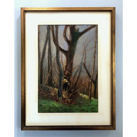 QUADRO OLIO Nino Belotti PAESAGGIO CAMPESTRE AUTUNNALE DETTAGLIO ALBERO '900