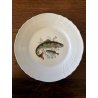 SET PIATTI VINTAGE 12 pers Pozzi Ginori SERVIZIO da PESCE PORCELLANA BIANCA  '50