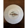 SET PIATTI VINTAGE 12 pers Pozzi Ginori SERVIZIO da PESCE PORCELLANA BIANCA  '50