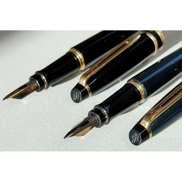 Penna stilografica Waterman Expert