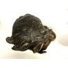 ANTICA SCULTURA  ANTIMONIO BUSTO DEA GIOVENTU Hebe  AQUILA GIOVE FRENCH Art Decò
