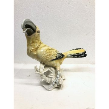 ANTICA SCULTURA UCCELLO TUCANO PORCELLANA Karl Ens GERMANY SMALTO POLICROMO '40