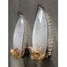 COPPIA APPLIQUE FOGLIA VETRO Murano FILIGRANA BIANCA AVVENTURINA ATTR. Barovier