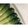 ANTICO PIATTO CERAMICA SARREGUEMINES SERVIZIO ASPARAGI OVALE DECORO ORTAGGI PLAT