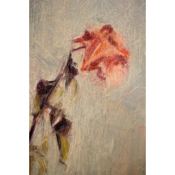 QUADRO OLIO TELA Carlo Monti  NATURA MORTA VASO FIORI ROSE ARONA