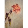 QUADRO OLIO TELA Carlo Monti  NATURA MORTA VASO FIORI ROSE ARONA