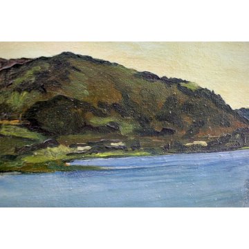 QUADRO Carlo Monti DIPINTO OLIO TELA PAESAGGIO VEDUTA LAGO MAGGIORE ARONA LESA