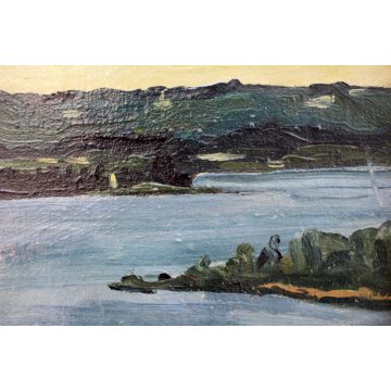 QUADRO Carlo Monti DIPINTO OLIO TELA PAESAGGIO VEDUTA LAGO MAGGIORE ARONA LESA