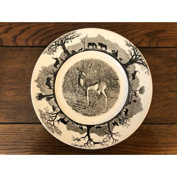 SET PIATTI CERAMICA 16 pz Wedgwood Etruria Barleston Kruger WWF PANDA VINTAGE UK