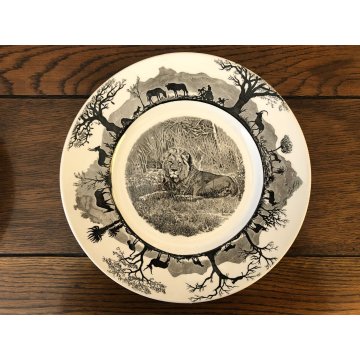 SET PIATTI CERAMICA 16 pz Wedgwood Etruria Barleston Kruger WWF PANDA VINTAGE UK