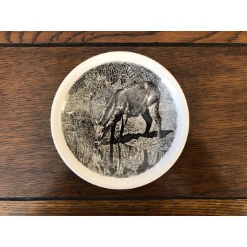 SET PIATTI CERAMICA 16 pz Wedgwood Etruria Barleston Kruger WWF PANDA VINTAGE UK